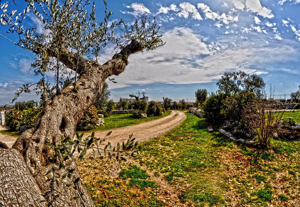 Masseria Rosa Trulli Relais Альберобелло Екстер'єр фото